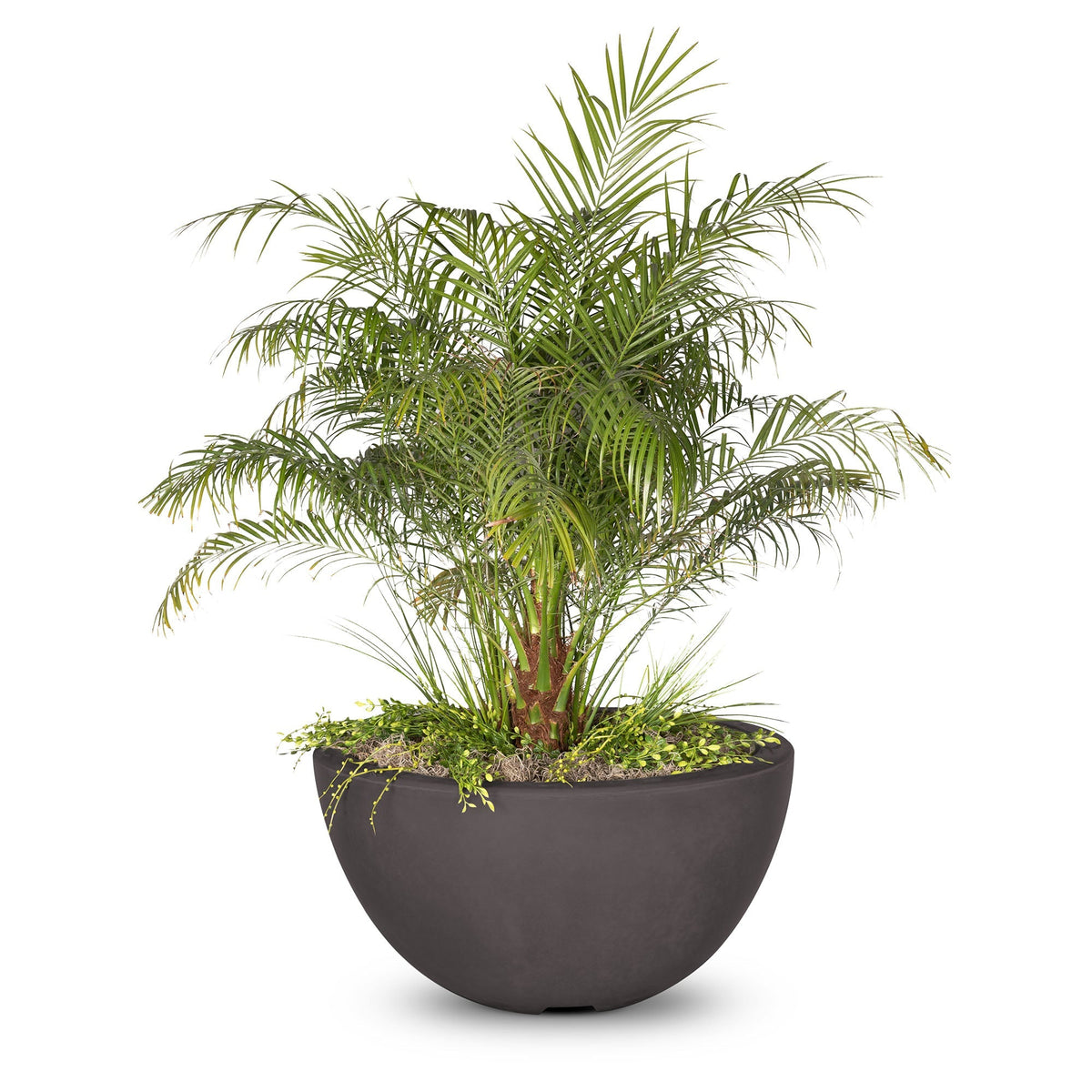 Luna Planter Bowl Chestnut