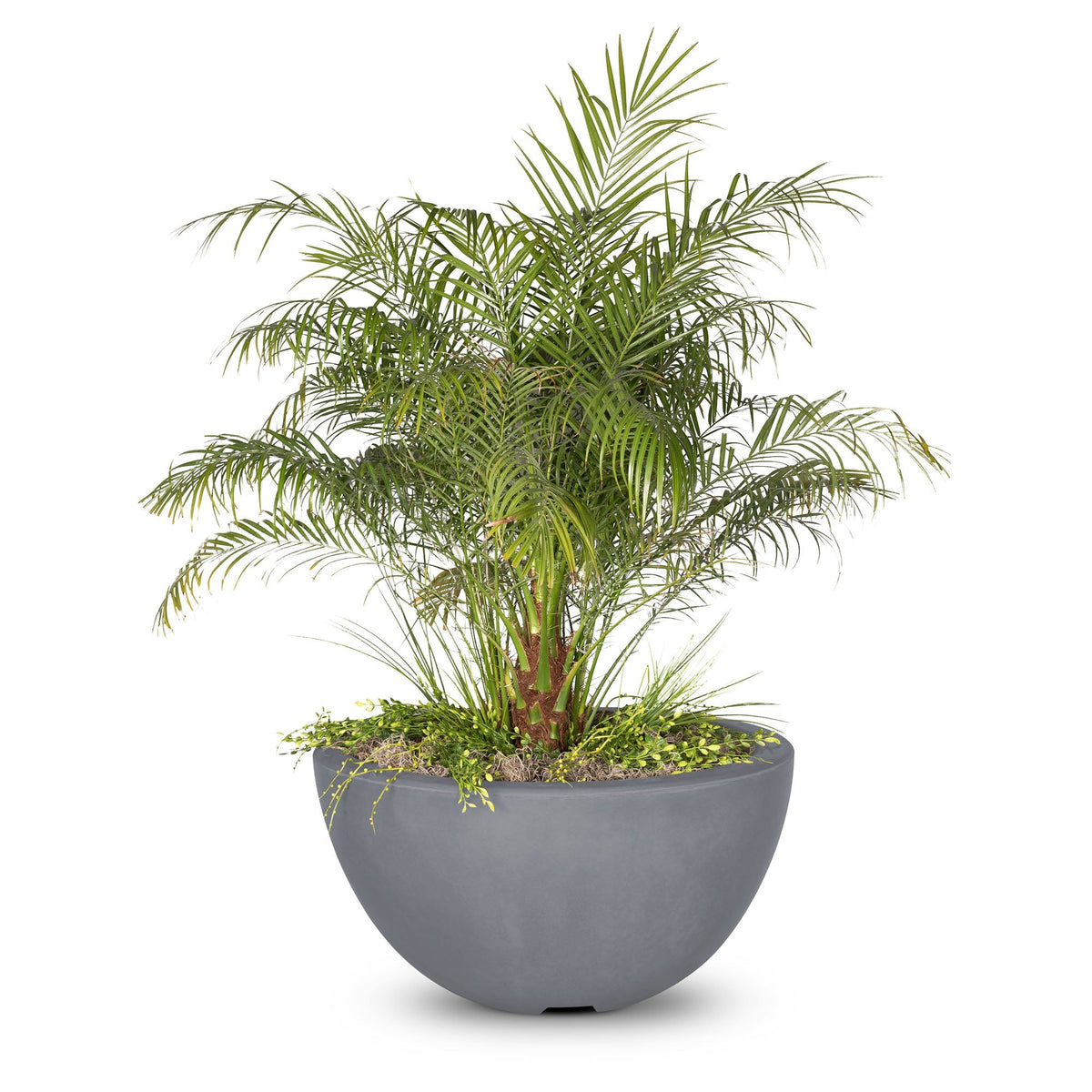 Luna Planter Bowl Gray