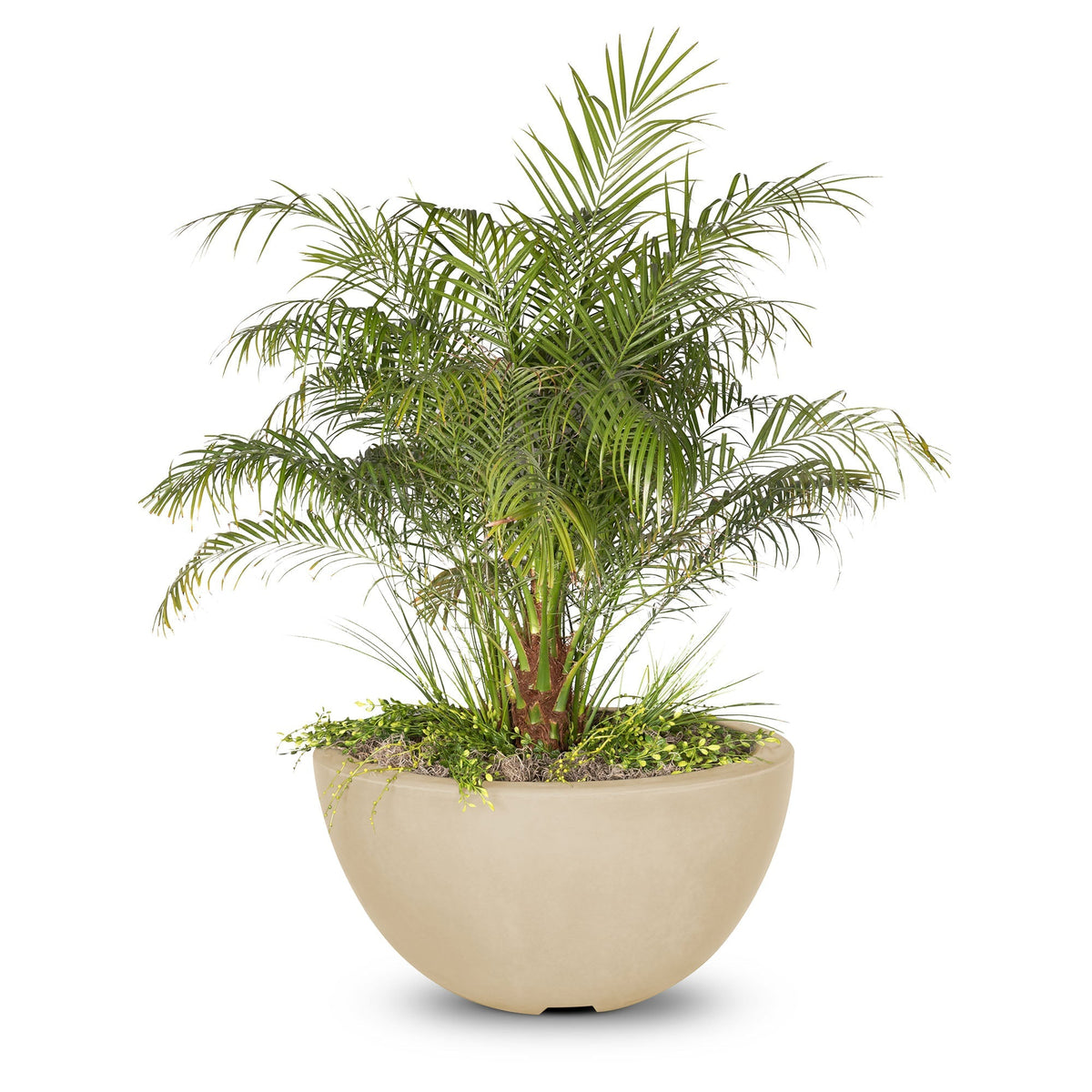 Luna Planter Bowl Vanilla