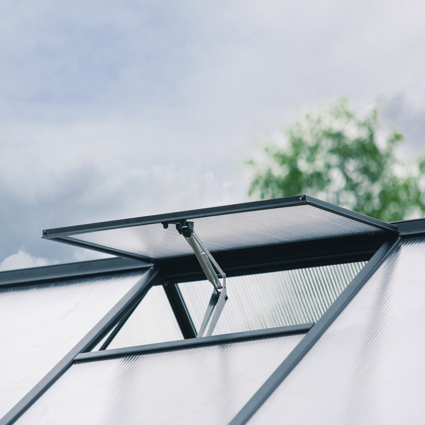 Palram - Canopia | Aria Greenhouse with Polycarbonate Glazing - HG5728