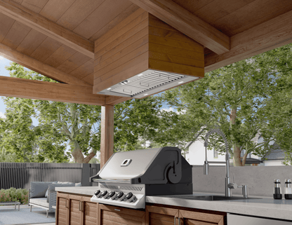 ZEPHYR Spruce Outdoor Insert, 42in, LED, SS in Stainless Steel - AK9840BS