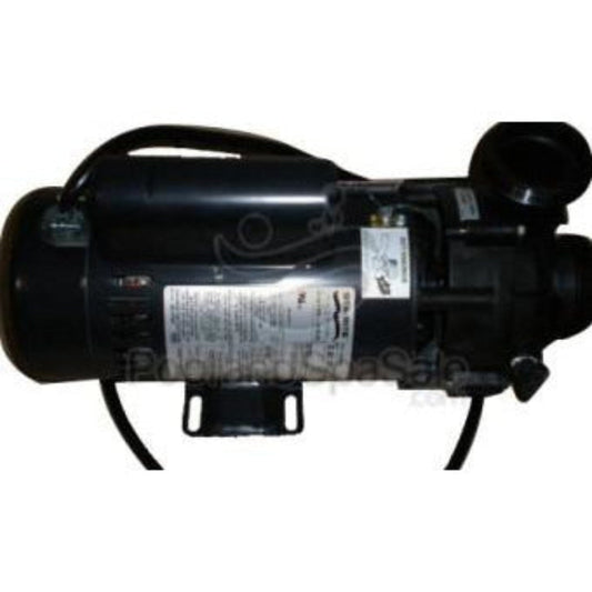 MASTER SPAS 3 horsepower 2 speed Pentair / Sta-Rite for Legacy - X320420